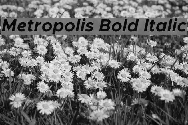 Metropolis Bold Italic Font examples