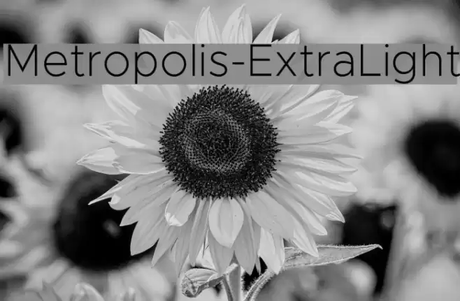 Metropolis-ExtraLight Schriftart examples