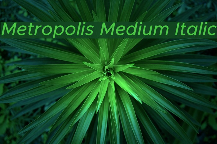 Metropolis Medium Italic Font examples