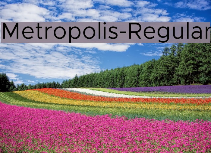 Metropolis-Regular Font examples