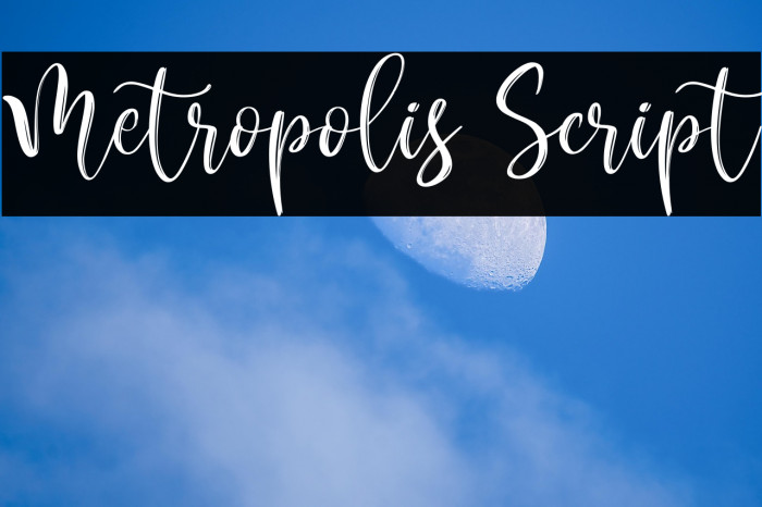 Metropolis Script Example 1