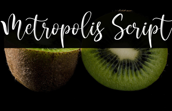 Metropolis Script Example 2