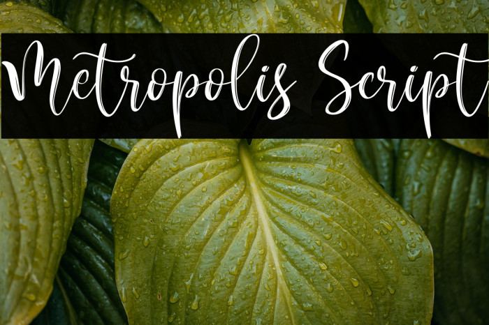 Metropolis Script Example 3