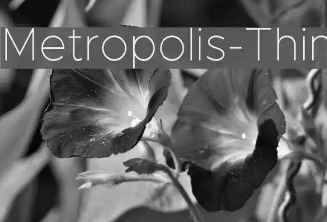 Metropolis-Thin Font examples