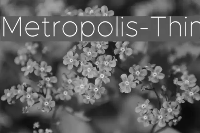 Metropolis-Thin Font examples