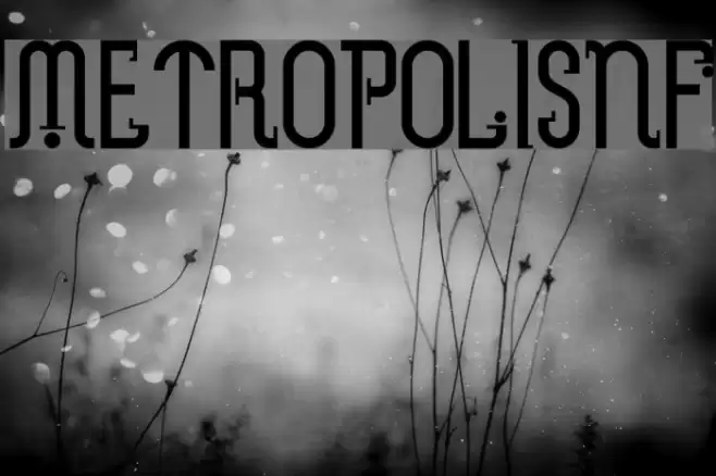 MetropolisNF フォント examples