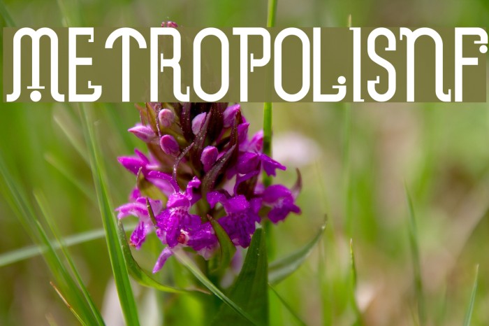 MetropolisNF Font examples