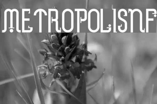 MetropolisNF フォント examples