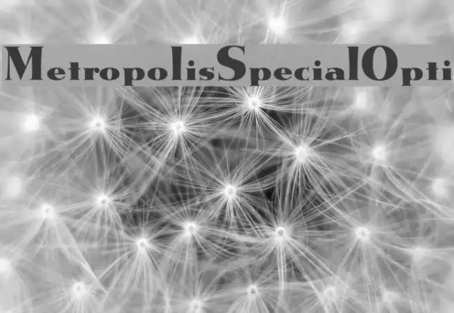 MetropolisSpecialOpti Example 1