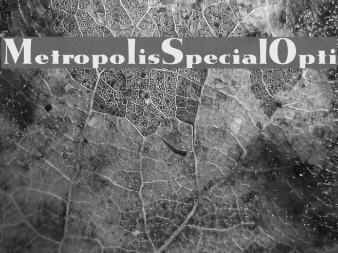 MetropolisSpecialOpti Example 2