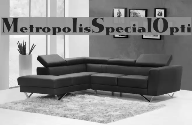 MetropolisSpecialOpti Example 3