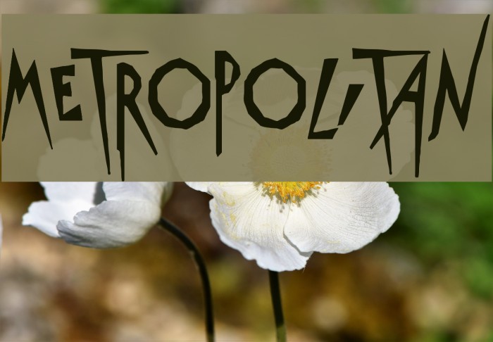 Metropolitan Font examples