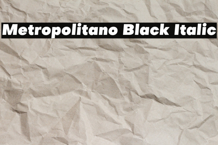 Metropolitano Black Italic Example 2
