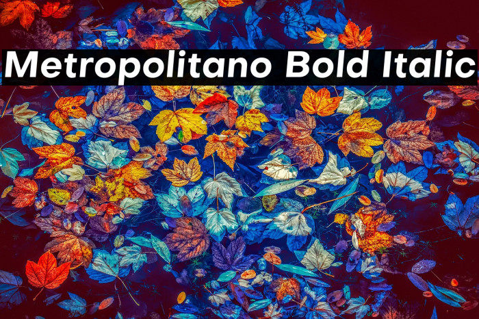 Metropolitano Bold Italic Example 3