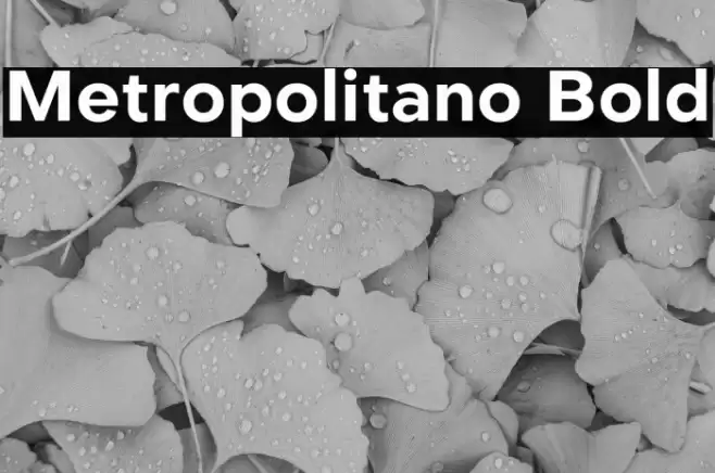 Metropolitano Bold Font examples