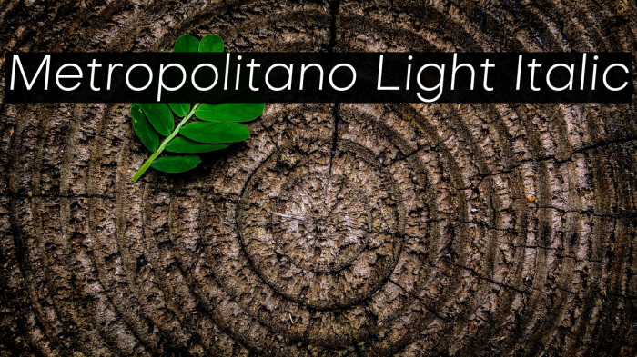 Metropolitano Light Italic Example 1