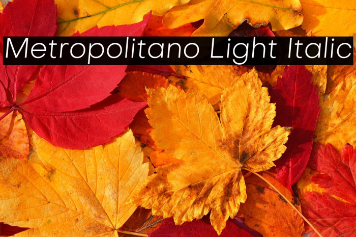 Metropolitano Light Italic Example 3