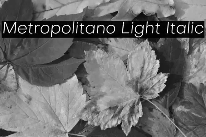 Metropolitano Light Italic Font examples
