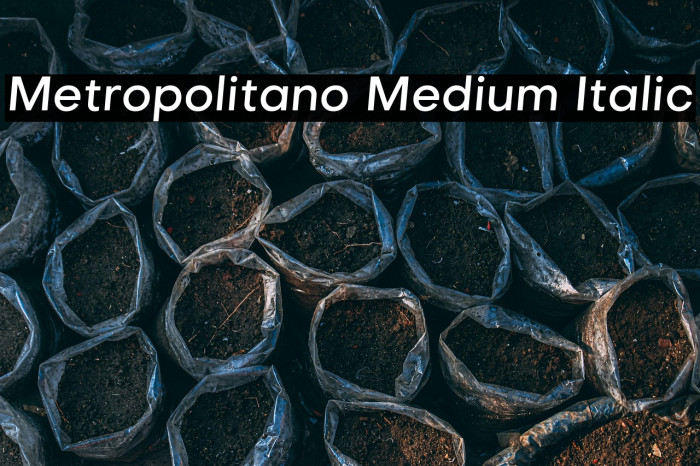 Metropolitano Medium Italic Example 3