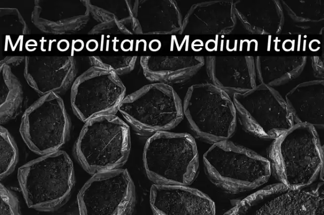 Metropolitano Medium Italic Font examples