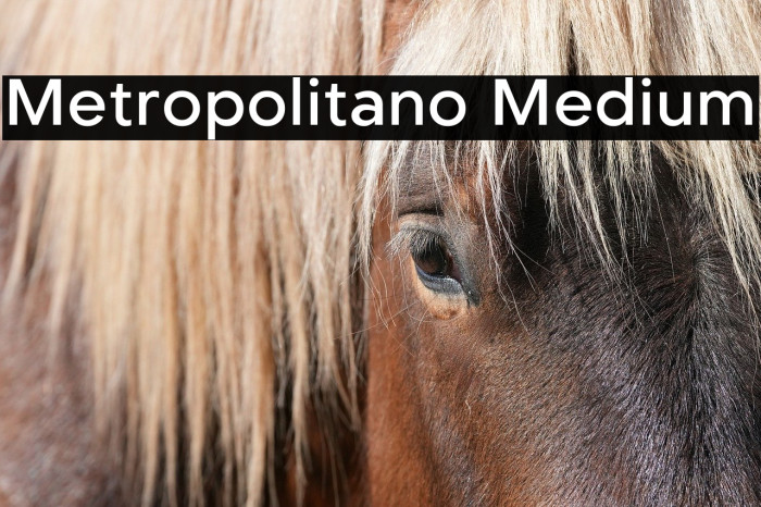Metropolitano Medium Example 1