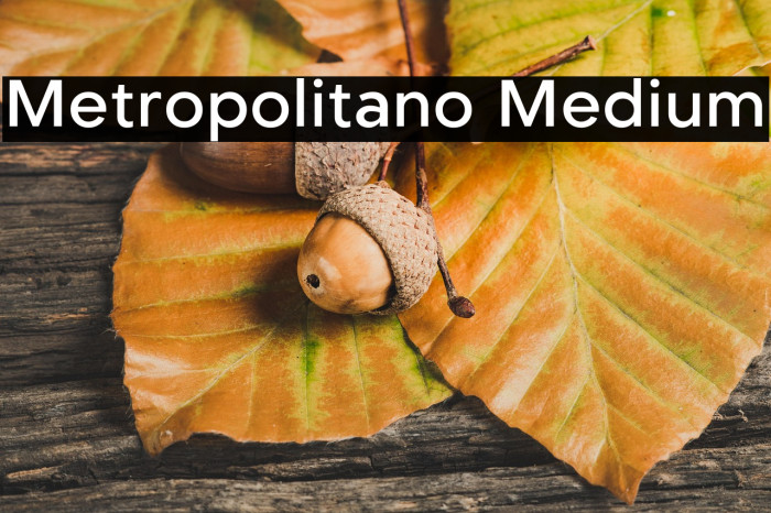Metropolitano Medium Example 3