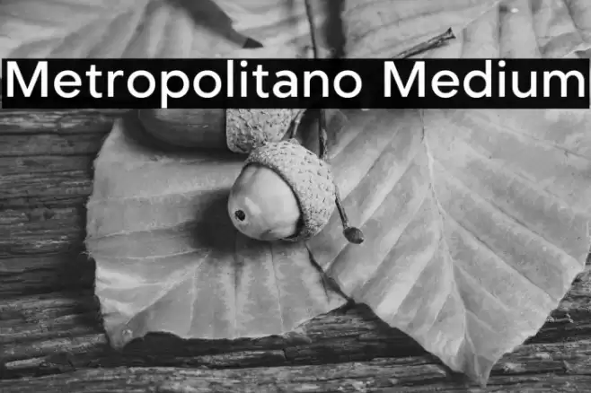 Metropolitano Medium Font examples