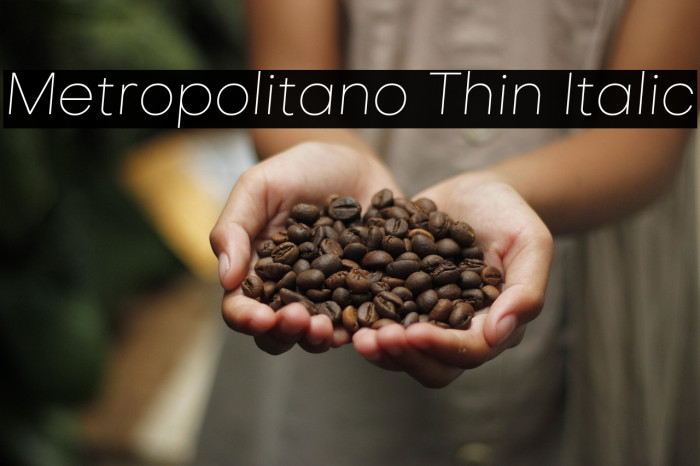 Metropolitano Thin Italic Example 1