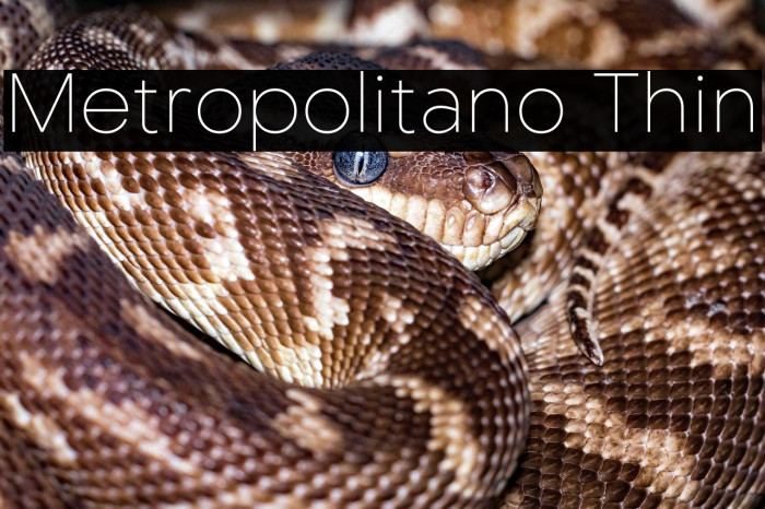Metropolitano Thin Example 1