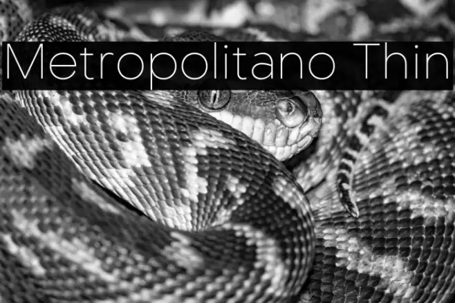 Metropolitano Thin Font examples