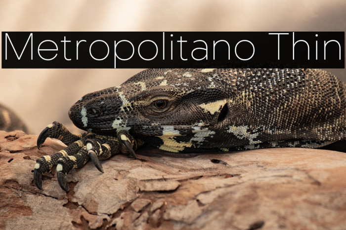 Metropolitano Thin Example 2