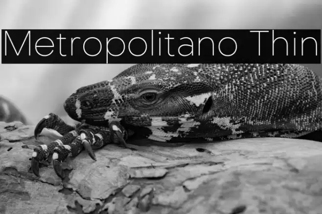 Metropolitano Thin Font examples