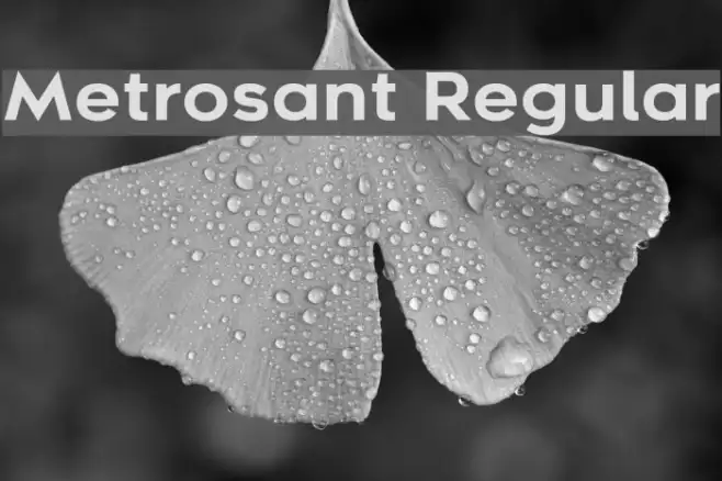 Metrosant Regular Example 3