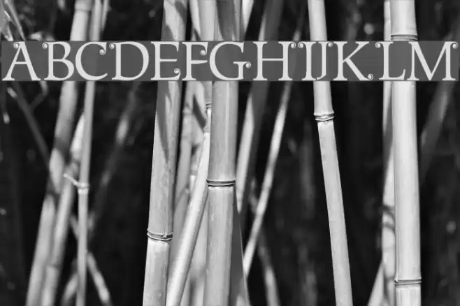 Metshige Normal Font examples