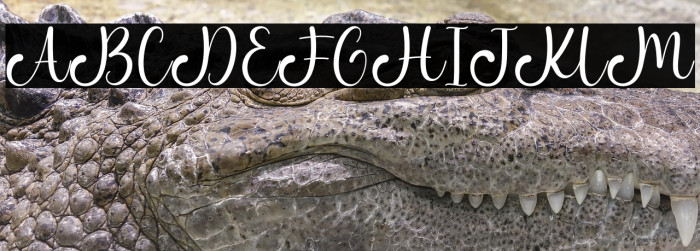 Metta Dahlia Example 2