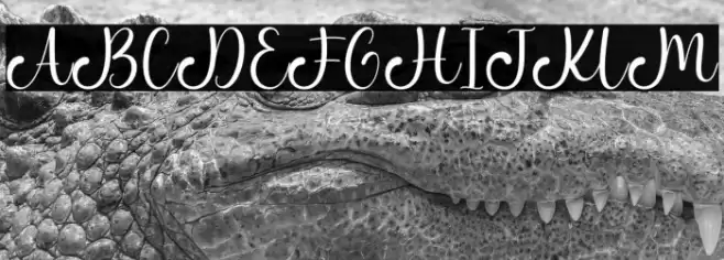 Metta Dahlia Font examples