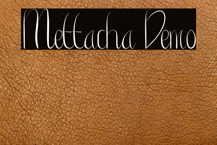 Mettacha Demo Example 1