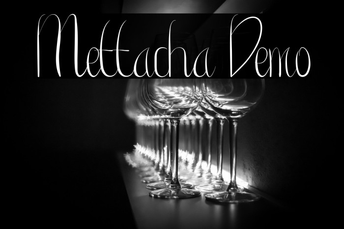 Mettacha Demo Example 2