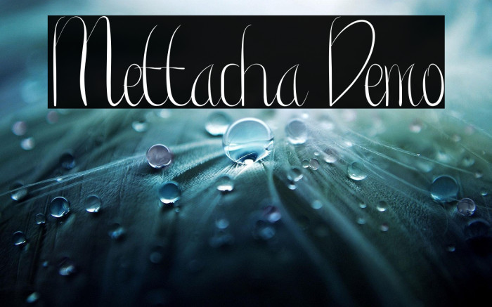 Mettacha Demo Example 3