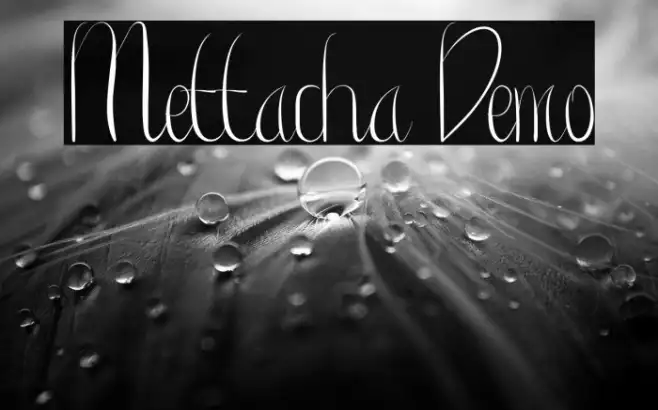Mettacha Demo Example 3