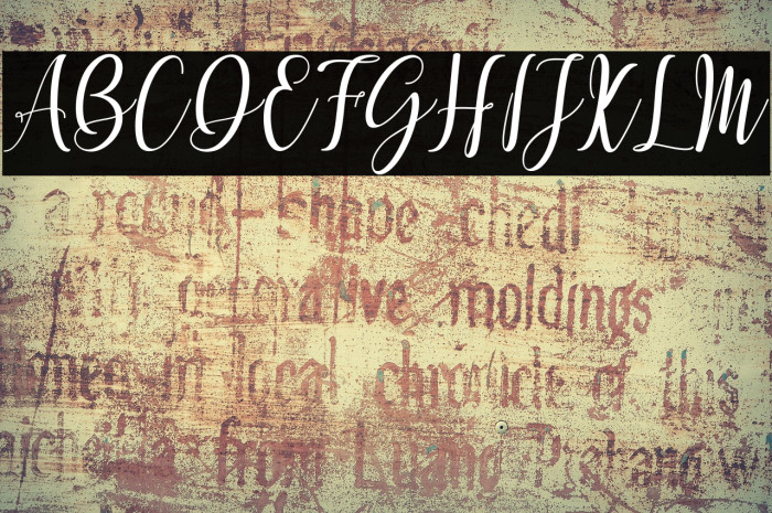 Mettadilla Example 2