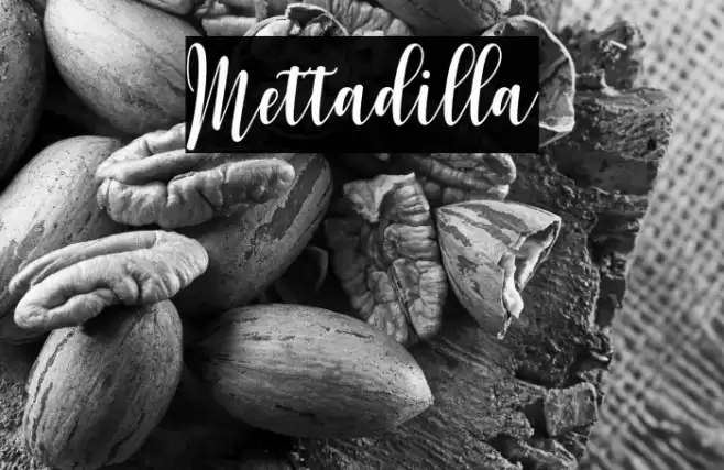 Mettadilla Font examples