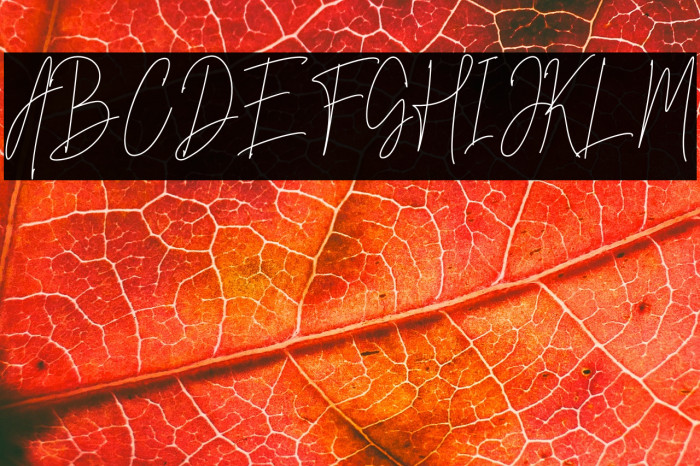 Mettallion Signature Example 1