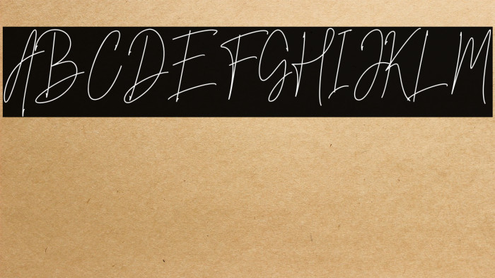 Mettallion Signature Example 2