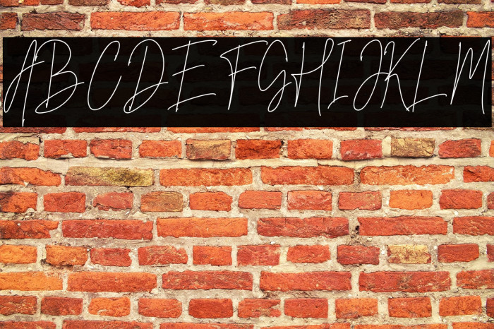 Mettallion Signature Example 3