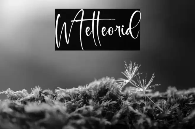 Metteorid Font examples