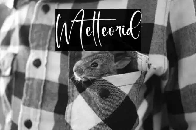 Metteorid Font examples