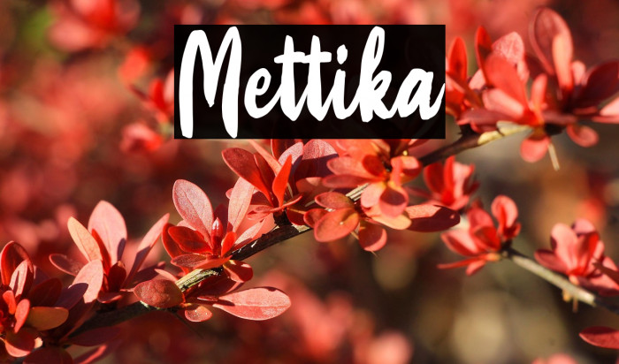 Mettika Example 1