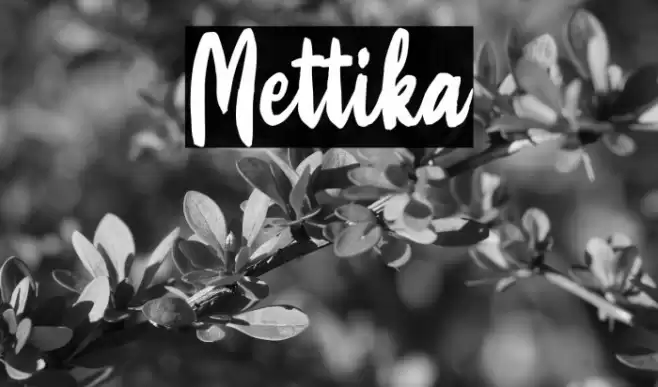 Mettika Font examples