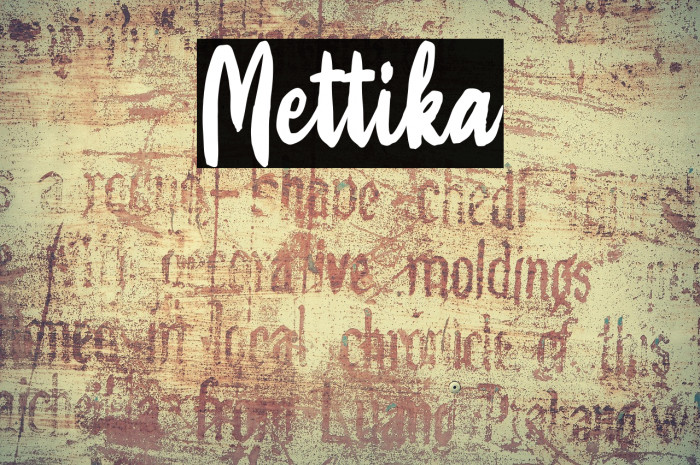 Mettika Example 3